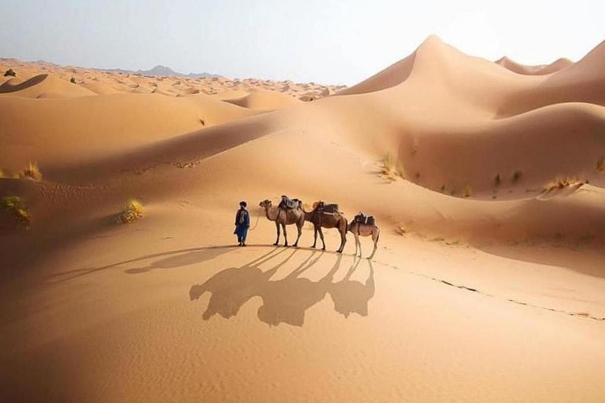 a man walking a camel caravan in the desert