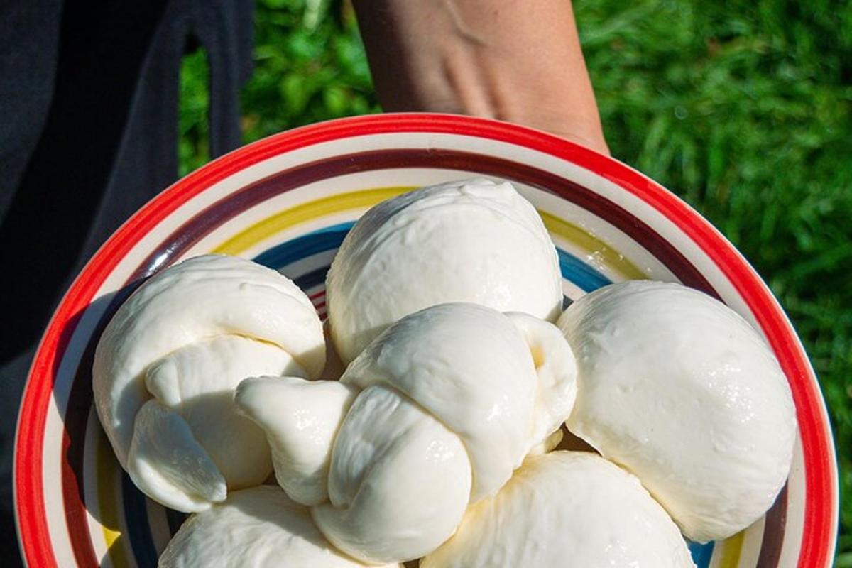 a person holding a plate with some food on it