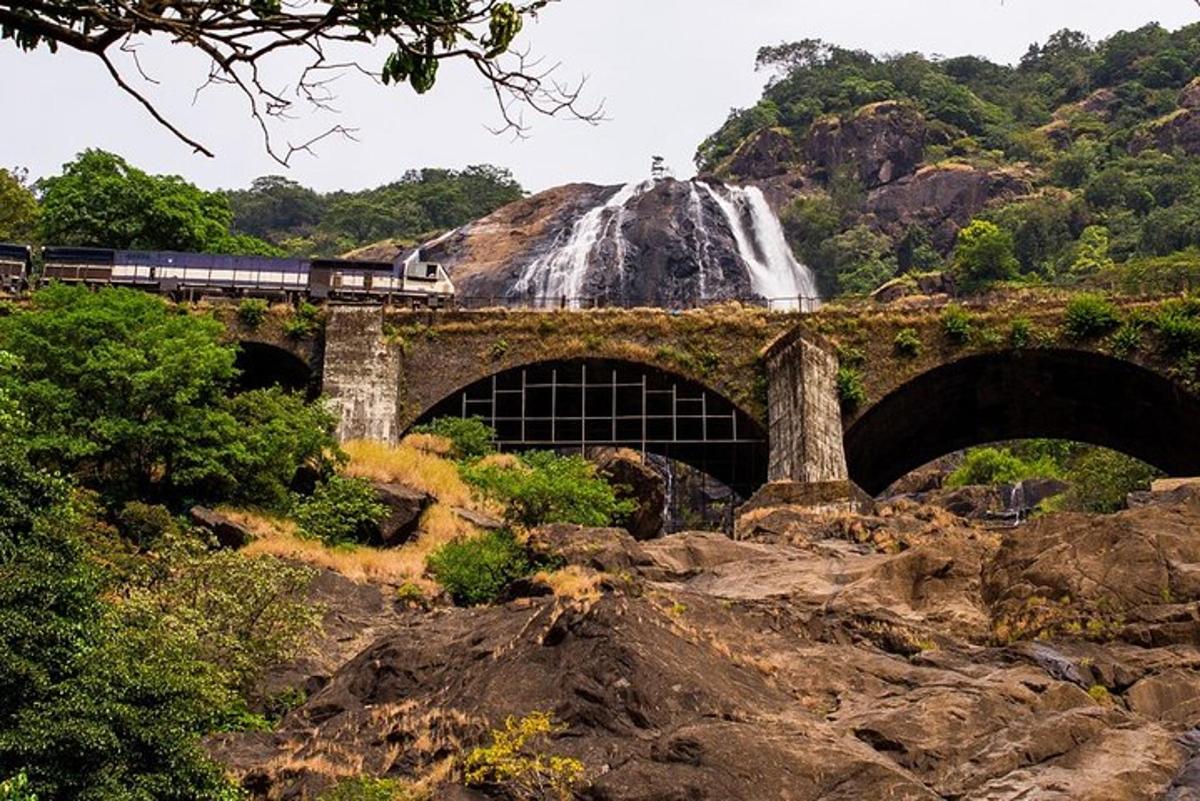 Un tren que viaja sobre un puente con una cascada.