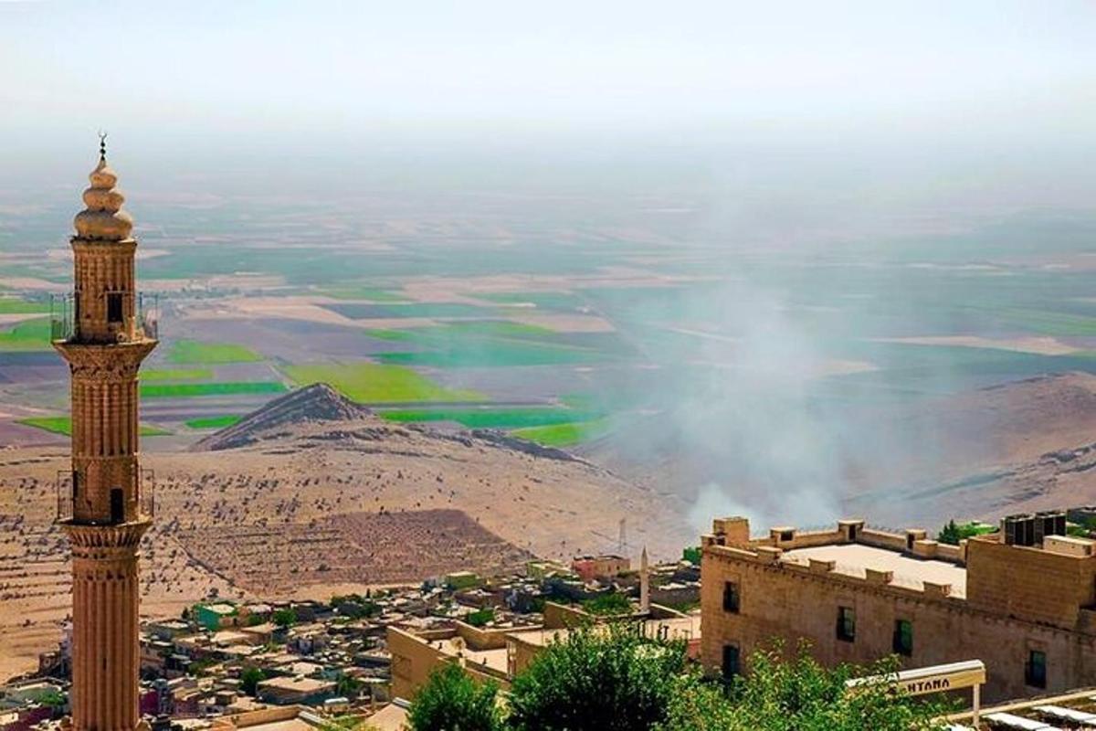 a view of a city with a mosque and a mountain