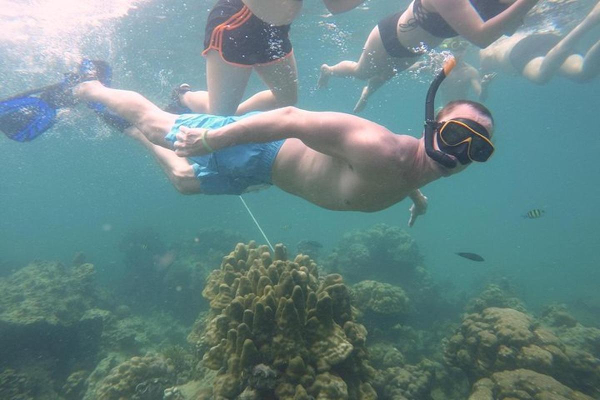 sekumpulan manusia berenang di atas terumbu karang