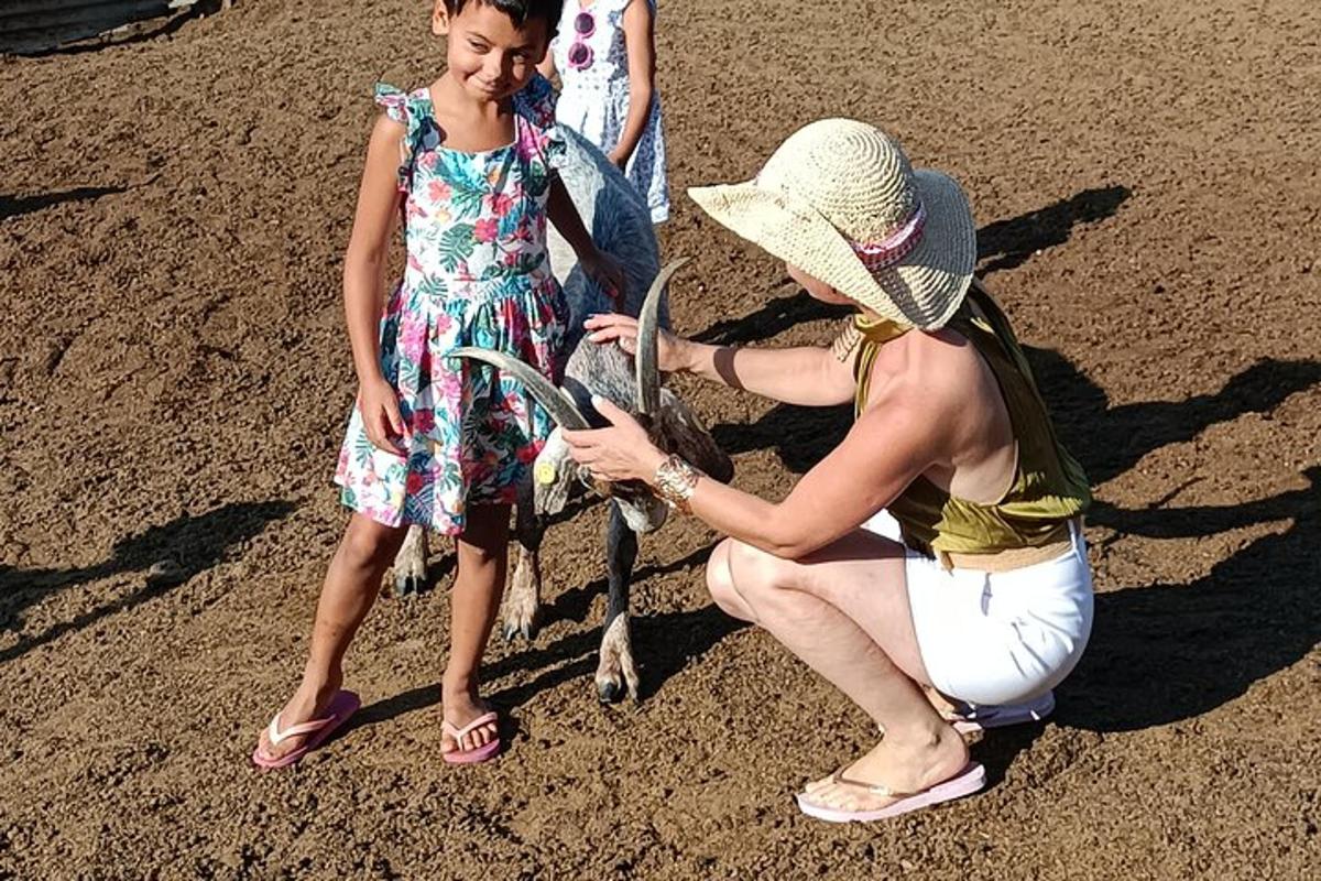 una donna sta accarezzando una capra sulla spiaggia