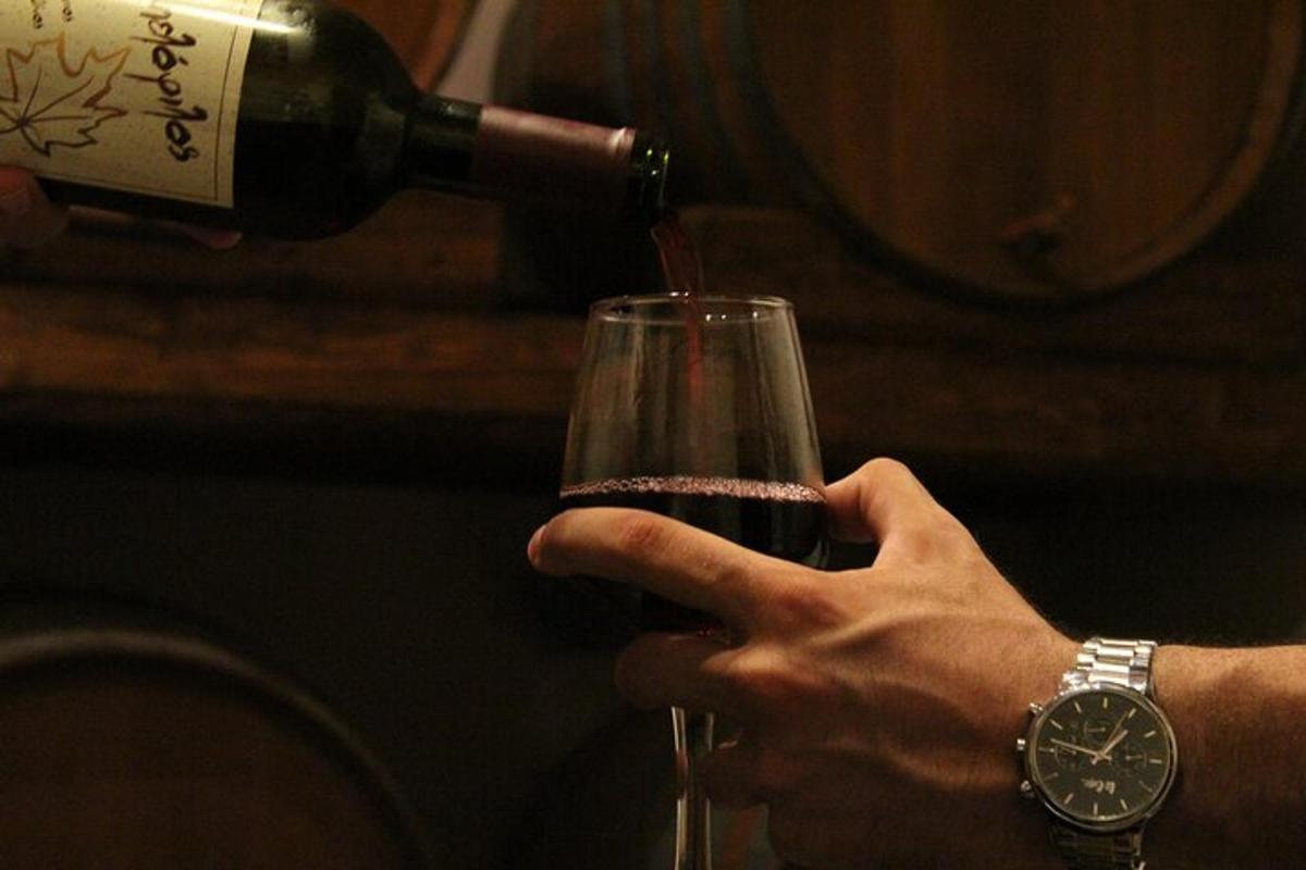 a person pouring wine into a wine glass