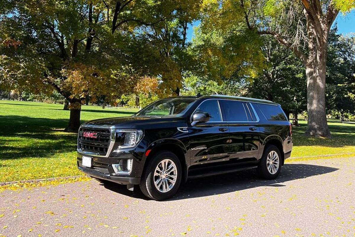 a black truck is parked in a park