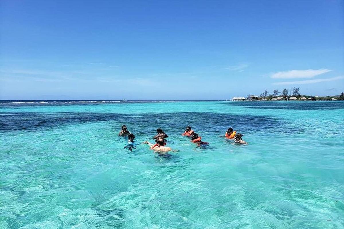un grupo de personas nadando en el océano