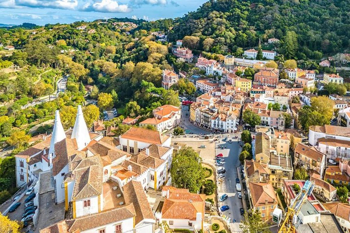 vista aèria d'una ciutat amb edificis i arbres