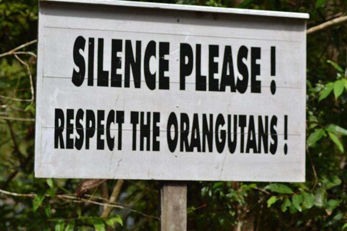 a sign that reads silence please respect the organic chickens