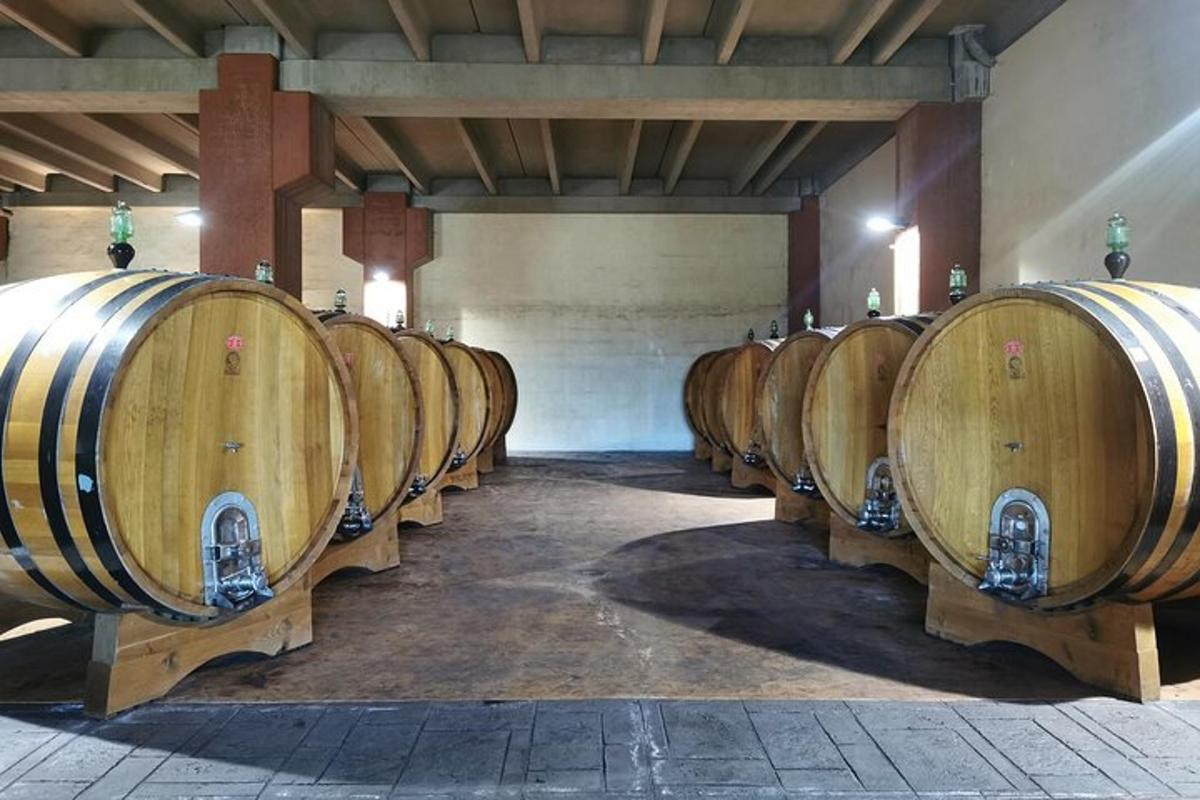 una fila de barriles de vino de madera en una bodega