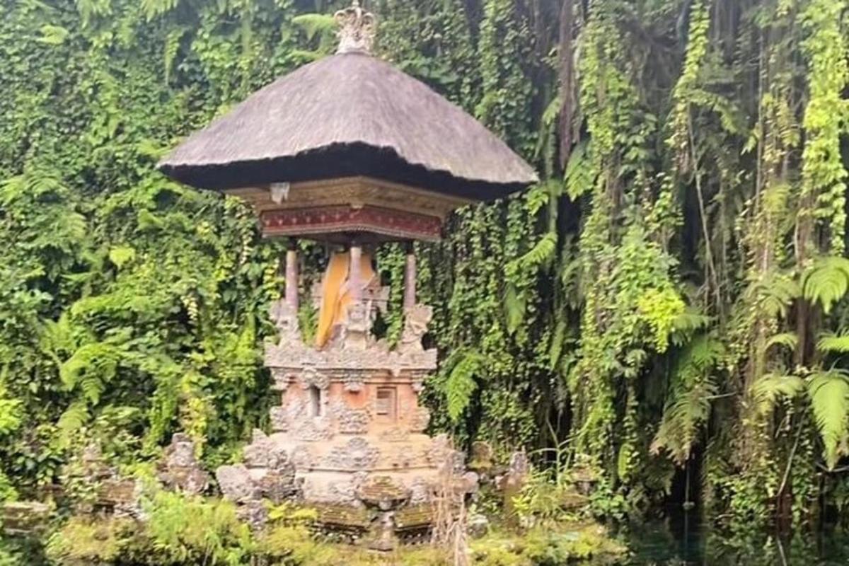 isang maliit na tore sa gitna ng kagubatan