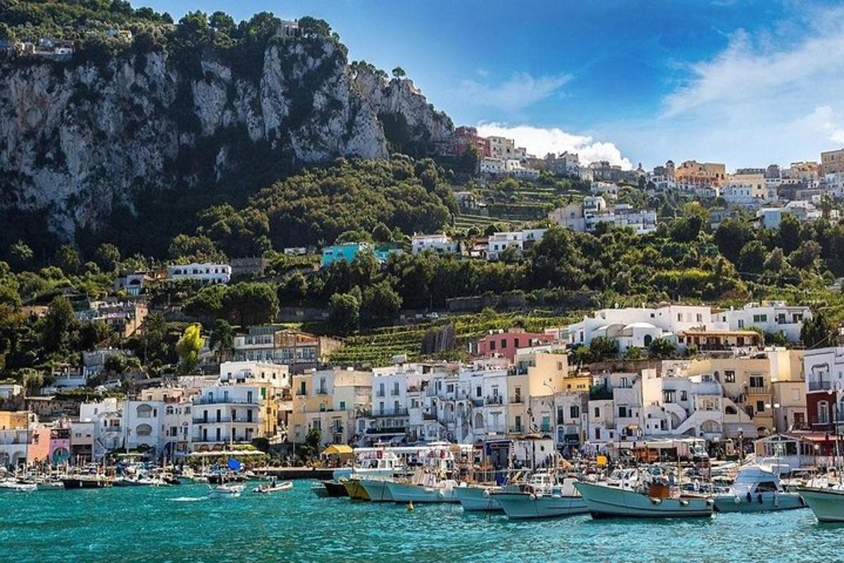 a group of boats are docked in a harbor