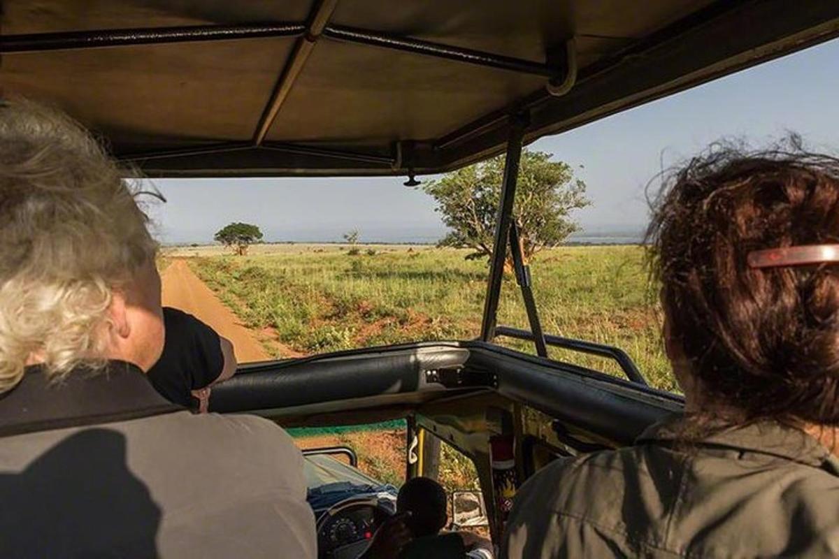 grupp inimesi, kes vaatavad safari aknast välja