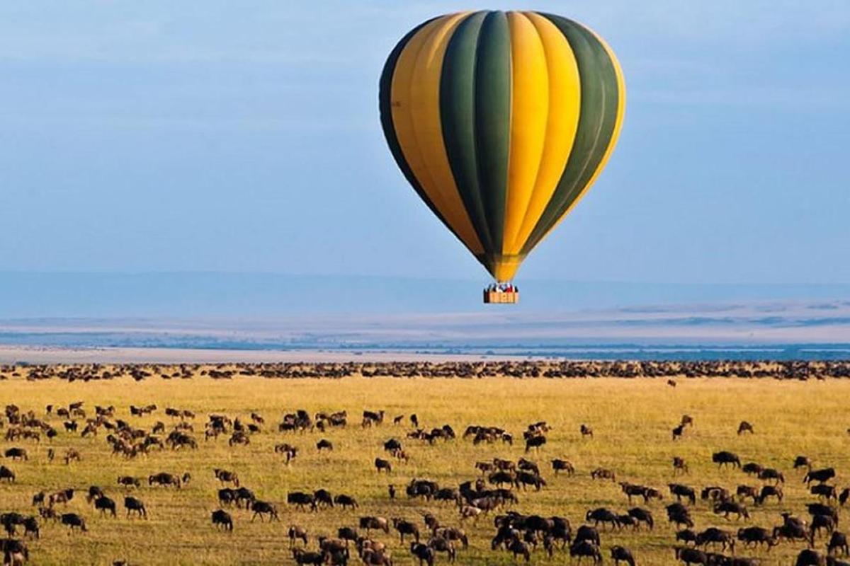 belon udara panas terbang di atas sekumpulan haiwan