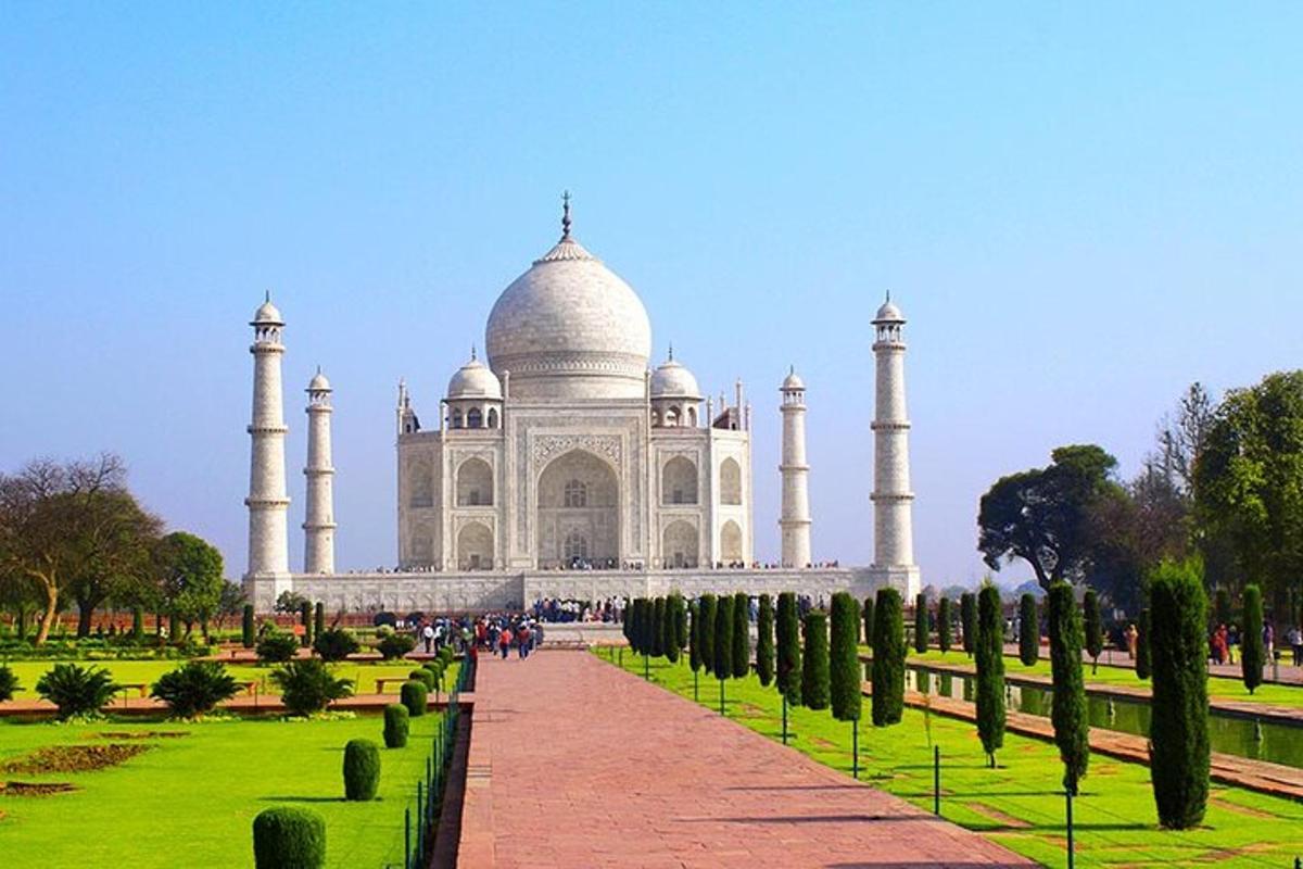 Útsýni yfir Taj Mahal með röð af trjám fyrir framan