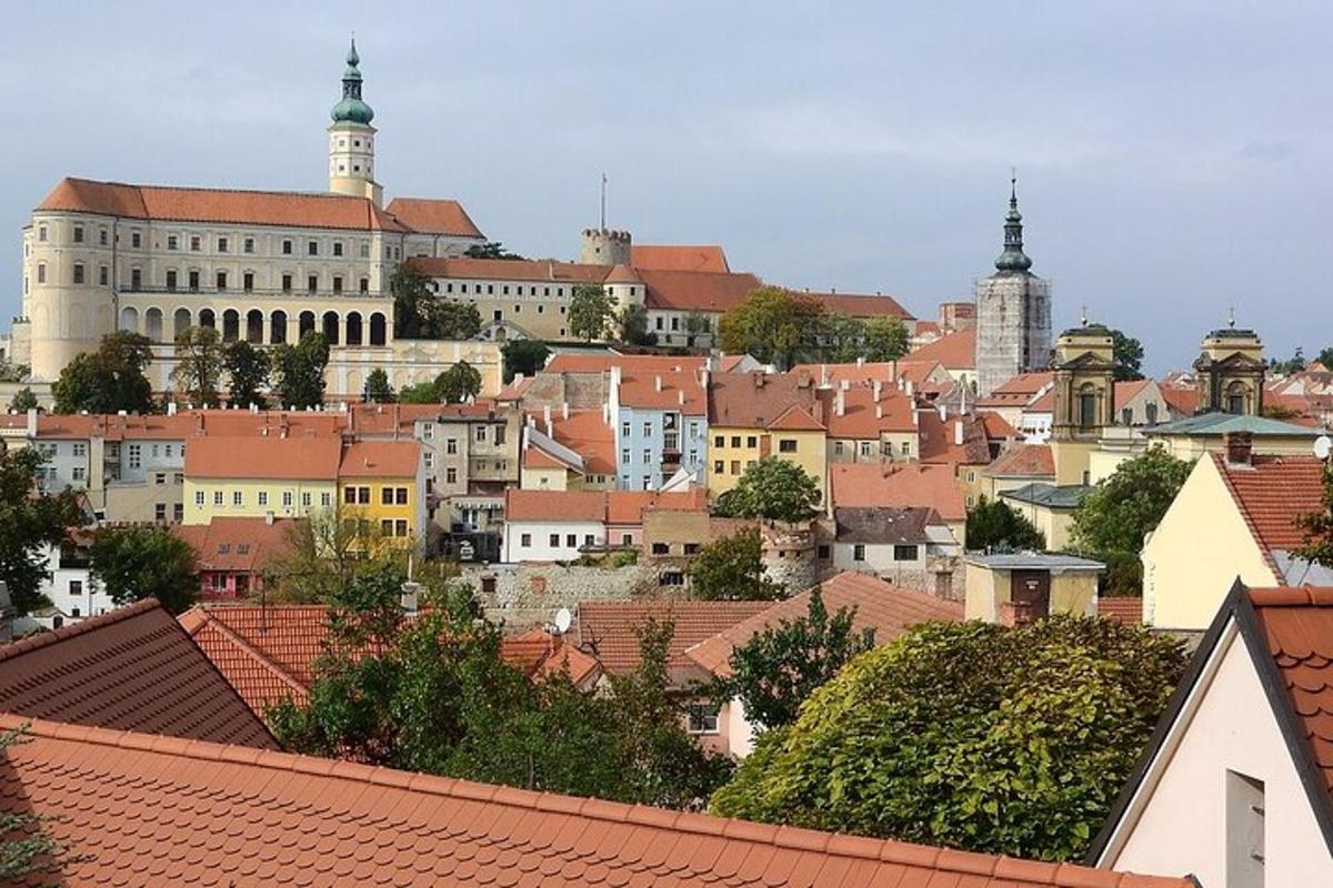 pogled na mesto z zgradbami in strehami