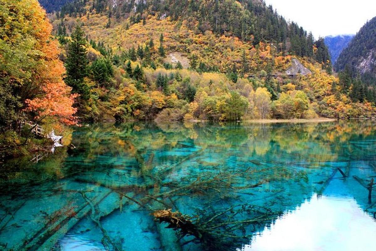 jezero uprostřed lesa