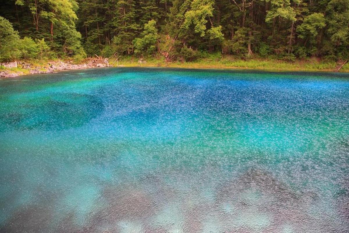 a large body of blue water in front of a forest