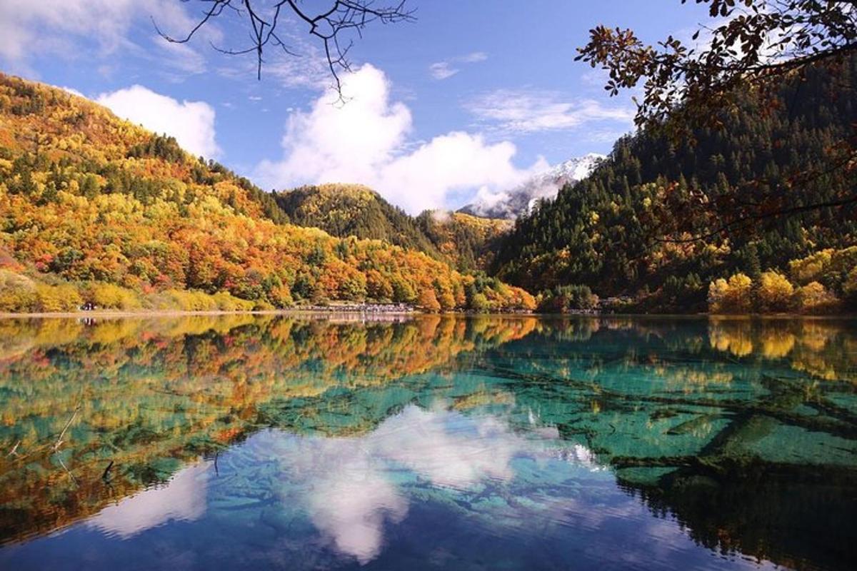 森林中间的湖泊景观