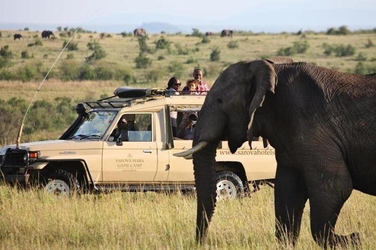 um elefante caminhando na frente de um veículo de safári