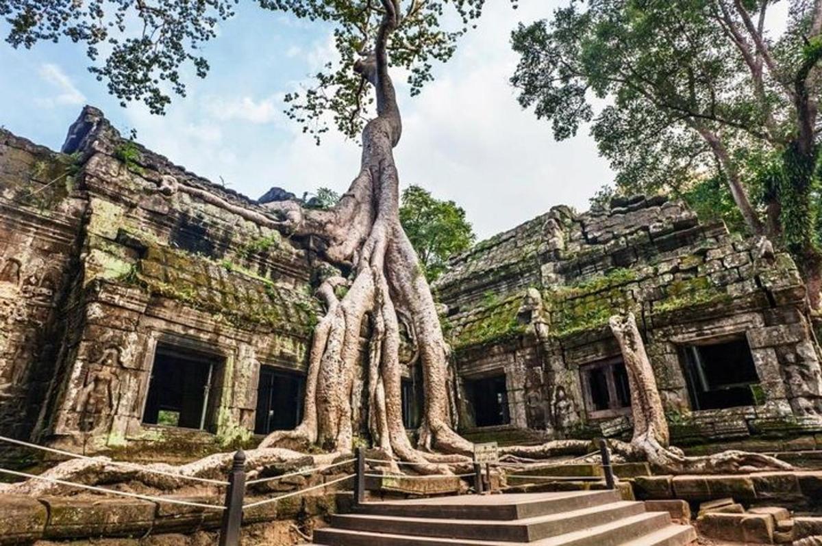 un edificio da cui crescono alberi