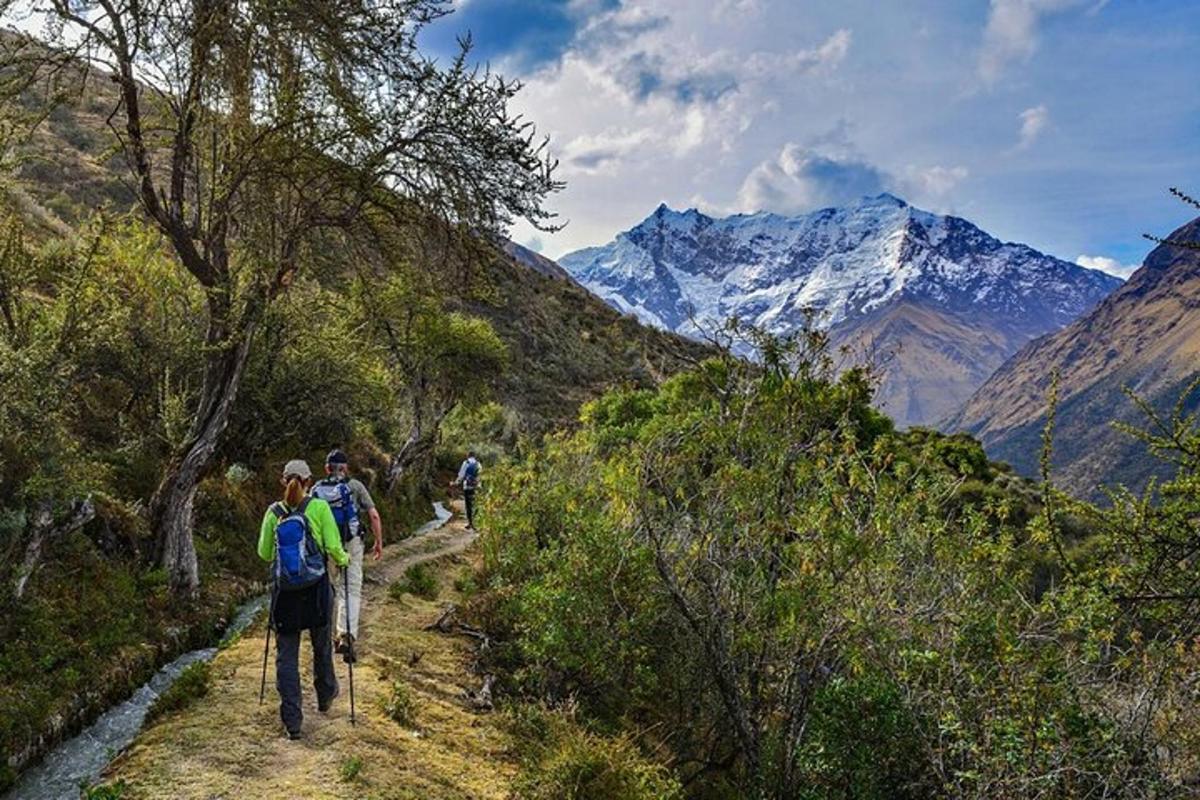 un gruppo di persone che camminano su un sentiero di montagna