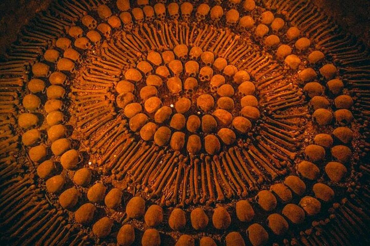 close up bulatan oren