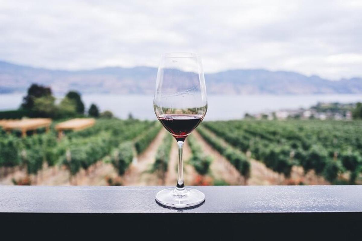 un bicchiere di vino seduto su una sporgenza che guarda un vigneto