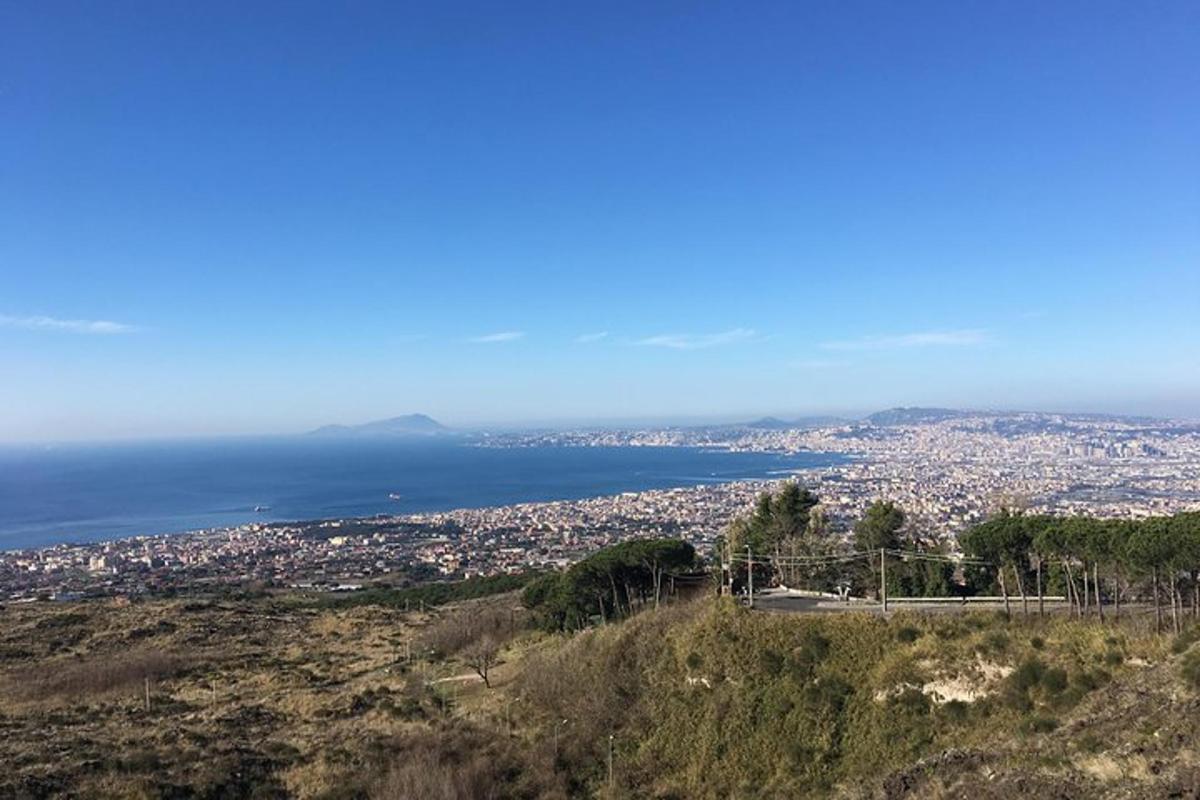 a view of a city and the ocean from a hill