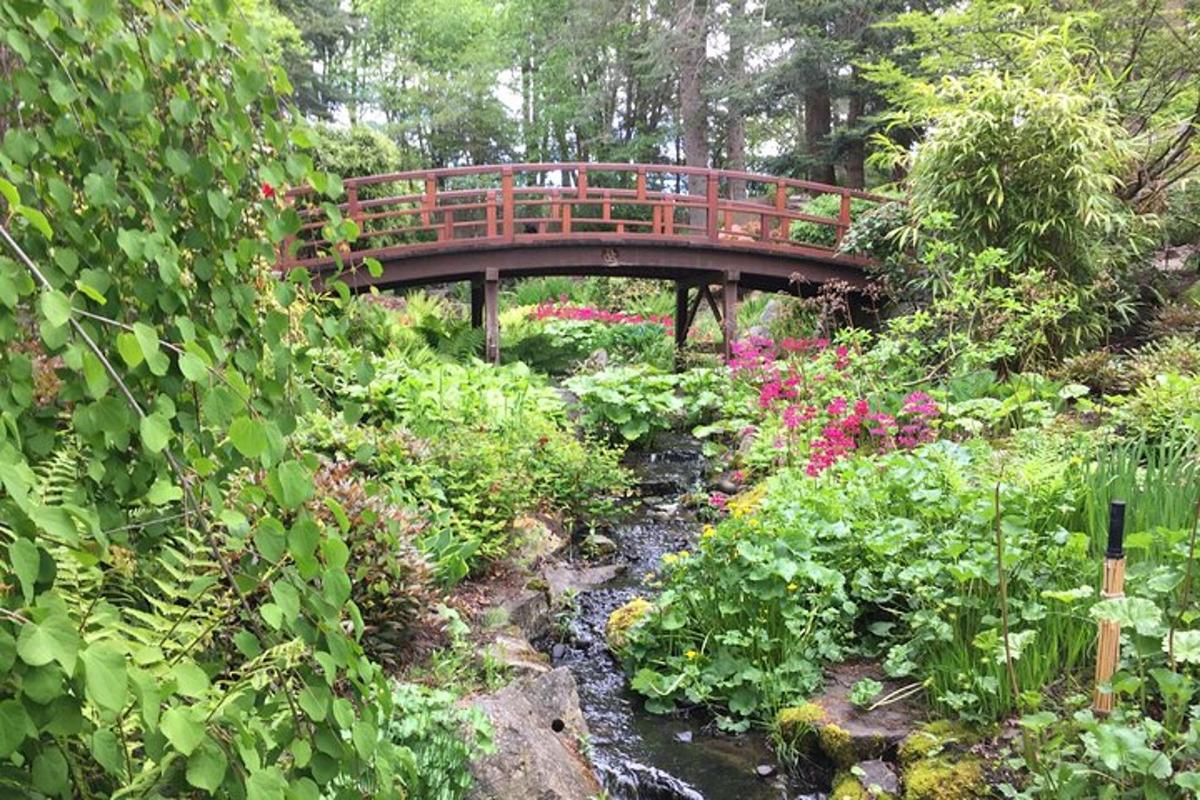 Un puente sobre un arroyo en un jardín con flores.