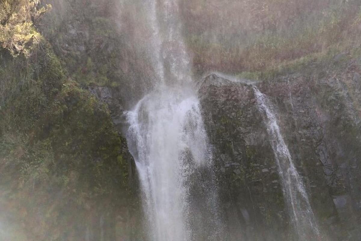 una vista aérea de una cascada en un bosque