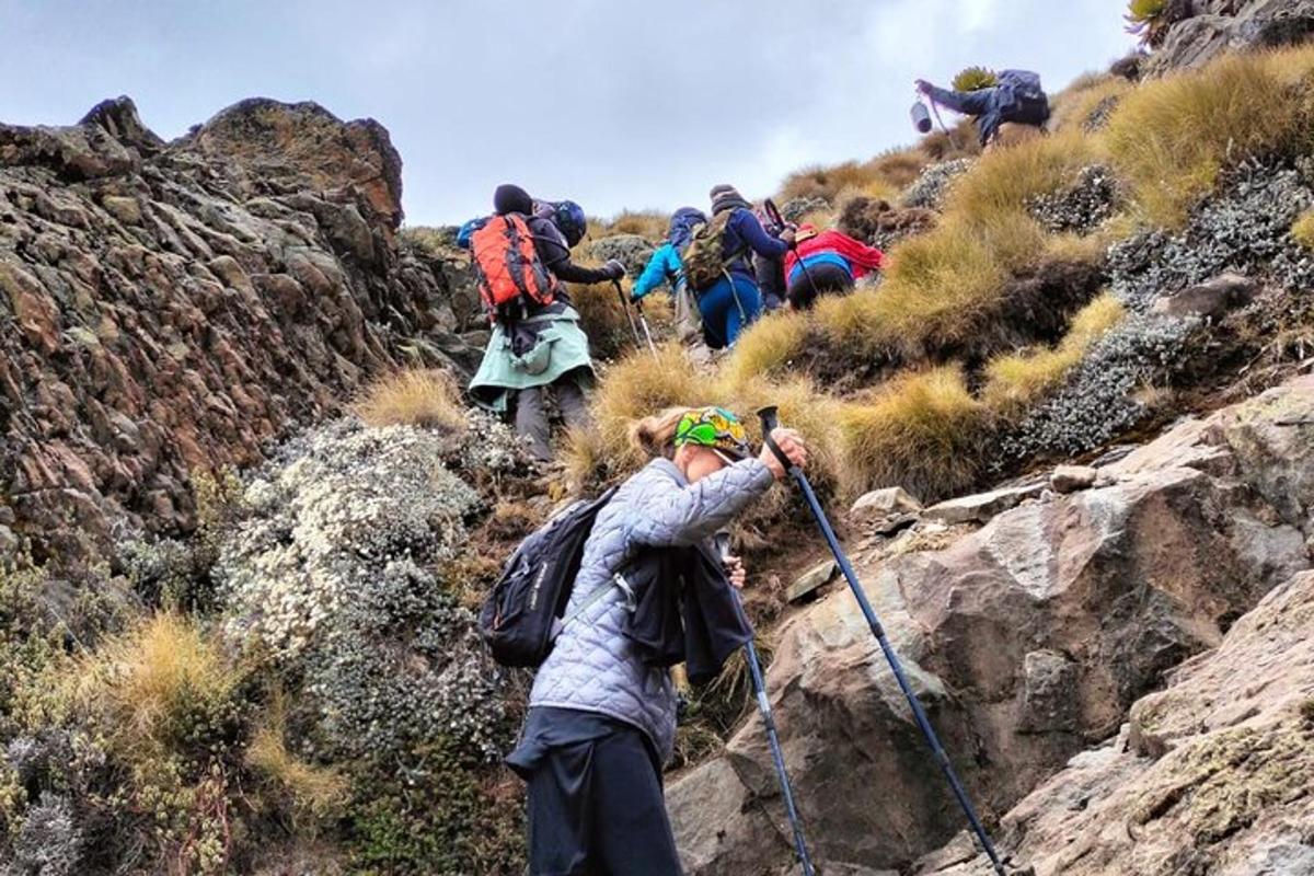 Un grupo de personas caminando por una montaña rocosa