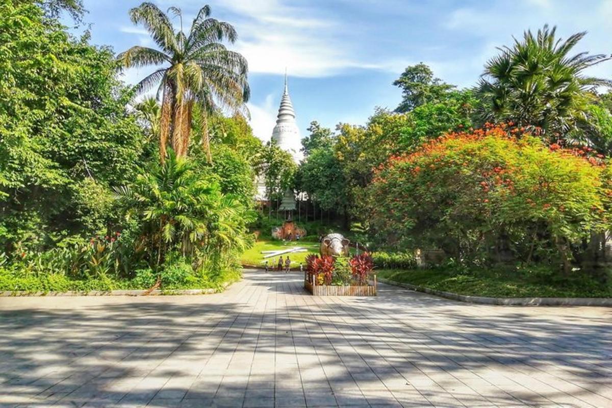 un camí en un parc amb una pagoda al fons