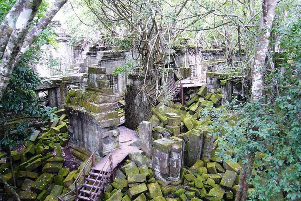 sebuah bangunan batu lama dengan tangga di dalam hutan