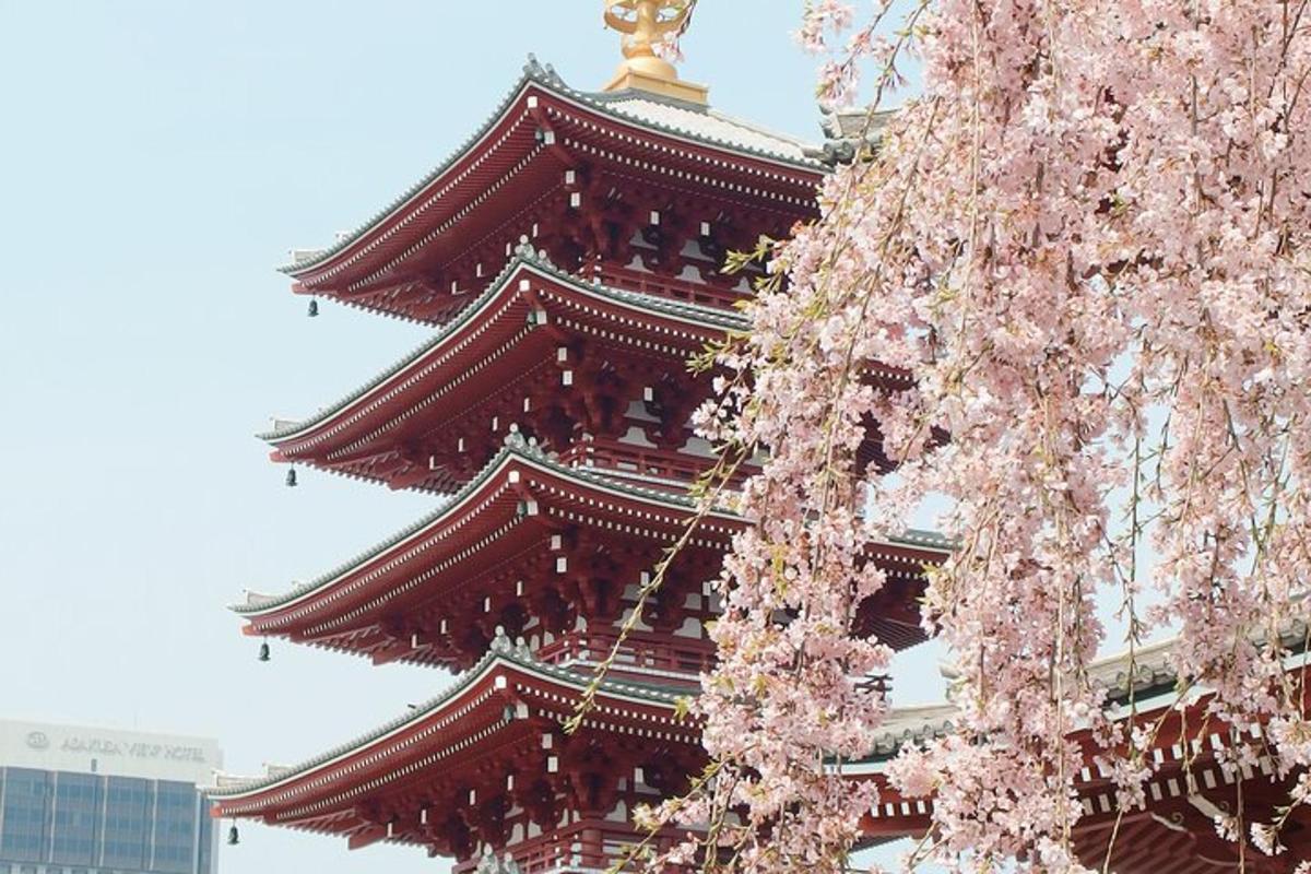 pagoda dengan pokok ceri di hadapannya