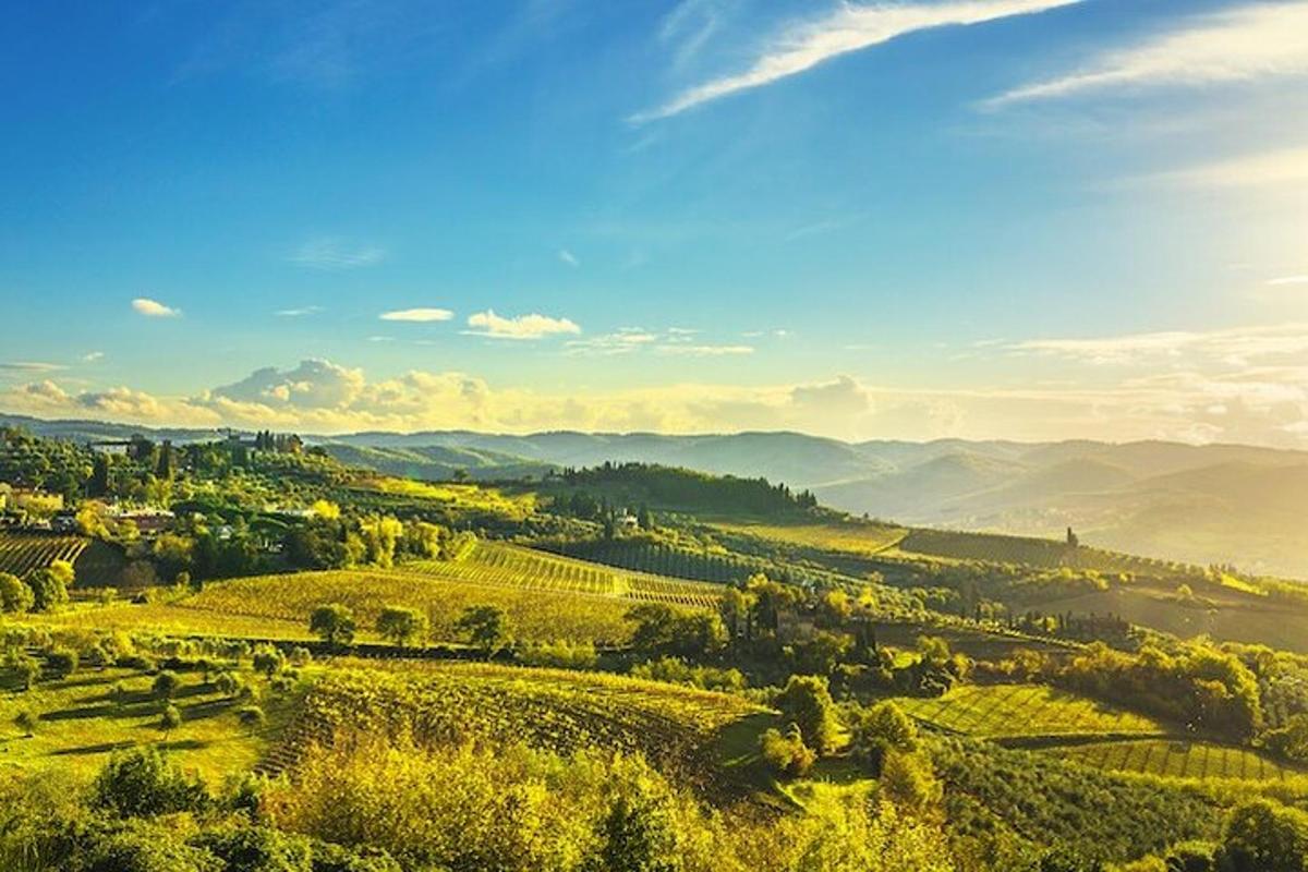 o vedere a unei văi verzi cu munți în fundal