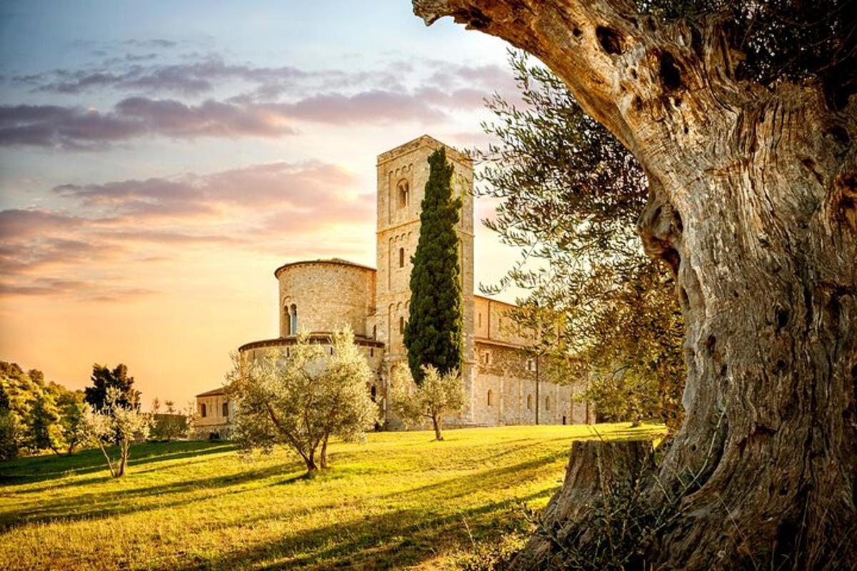 Un antiguo castillo en un campo con un árbol.