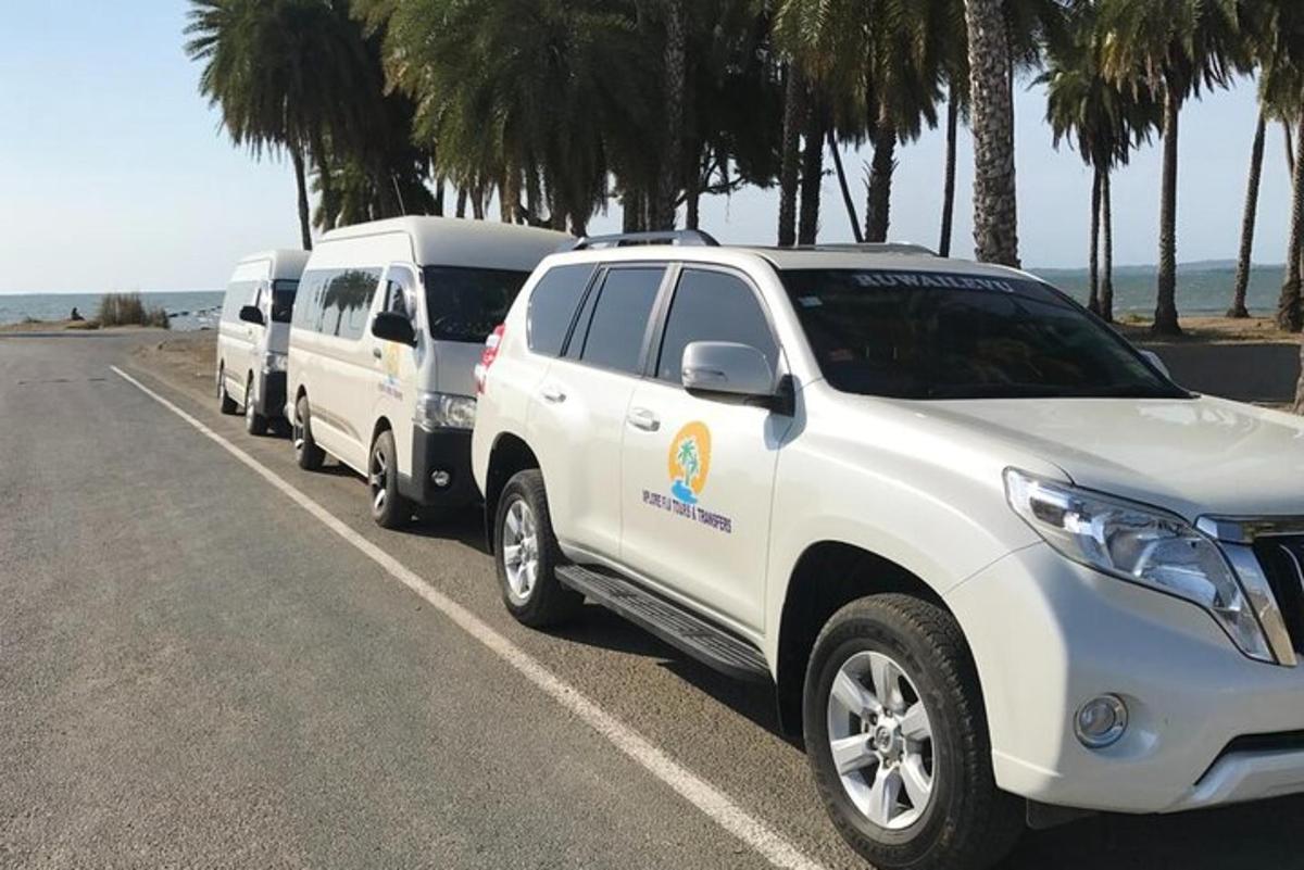 a row of white trucks parked on the side of a road