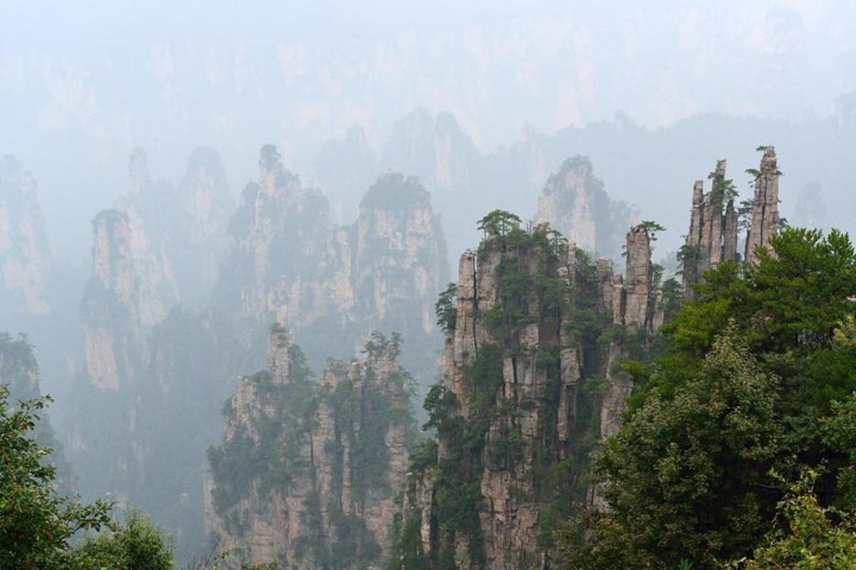 une vue d'une montagne avec des arbres et des rochers