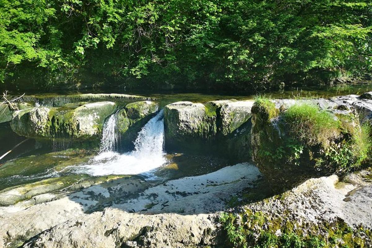 una cascada a la vora d'un riu