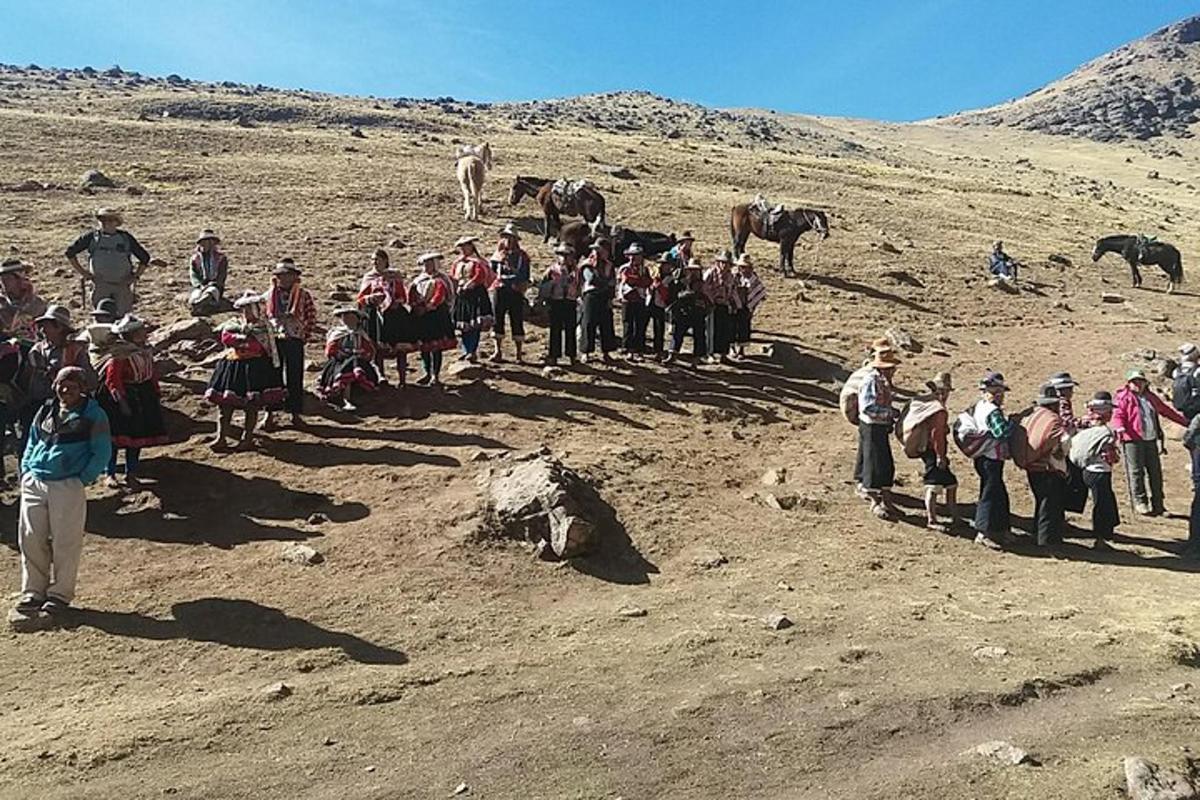 en gruppe mennesker som står på et jorde med hester