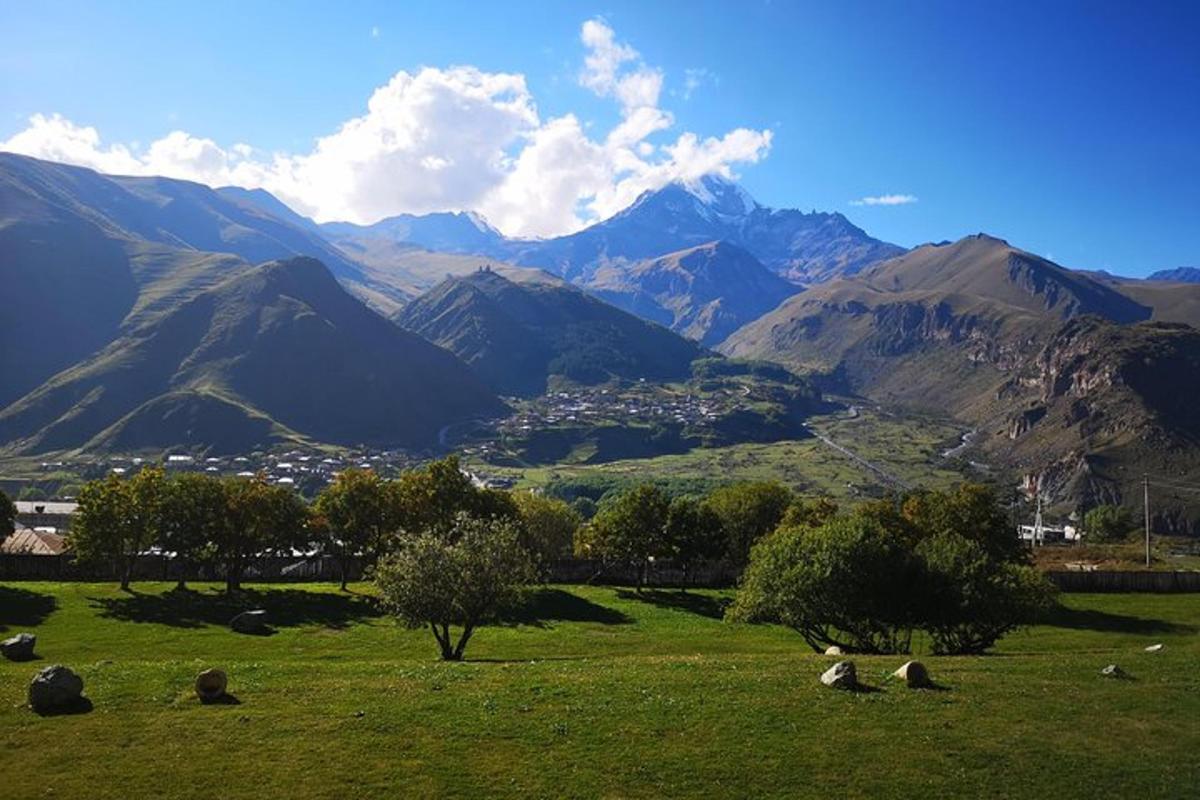 un gruppo di pecore al pascolo in un campo con montagne