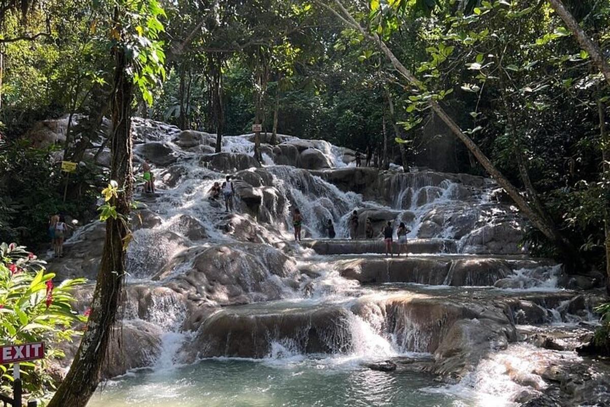 một thác nước giữa rừng