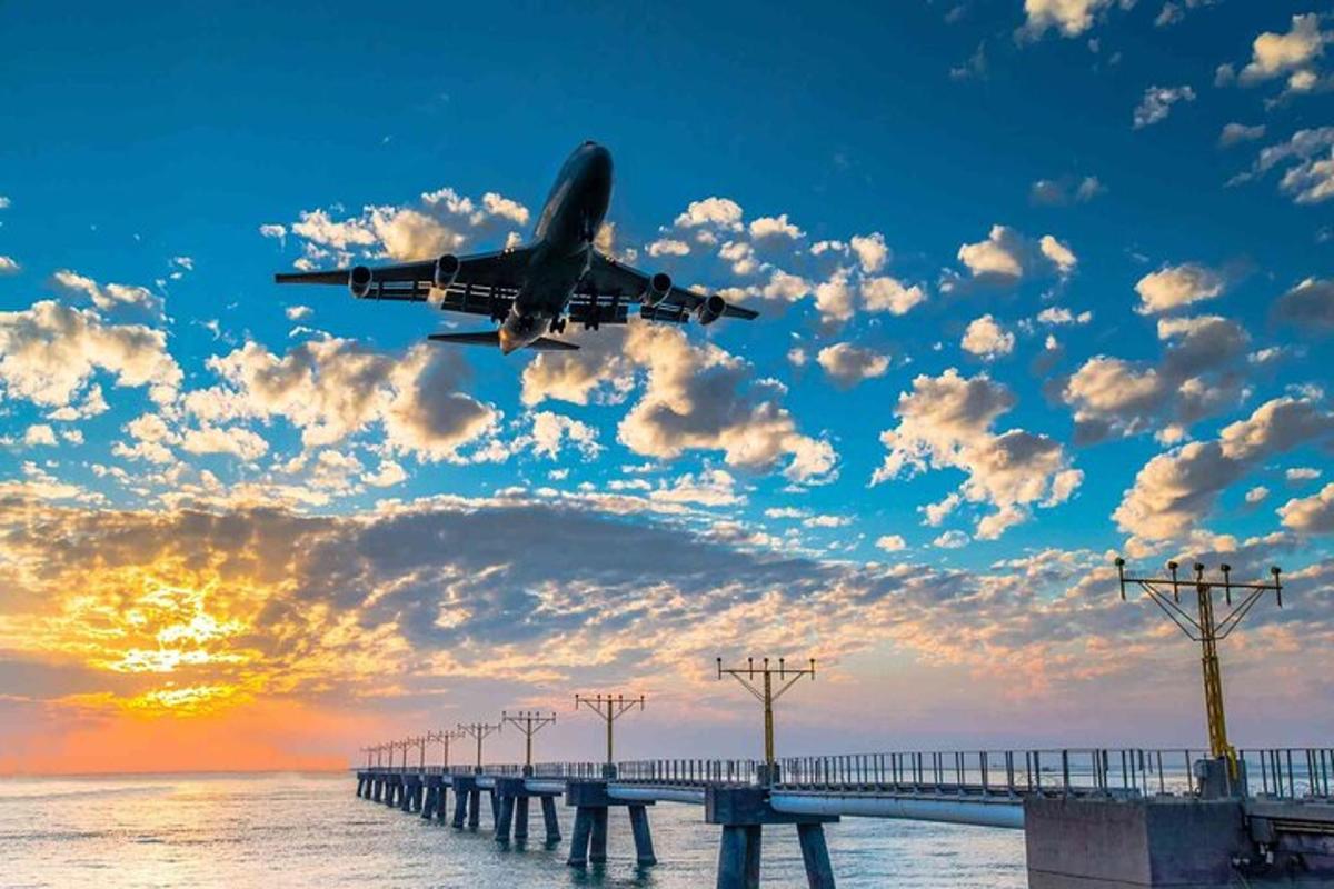 et fly flyr over en brygge med havet