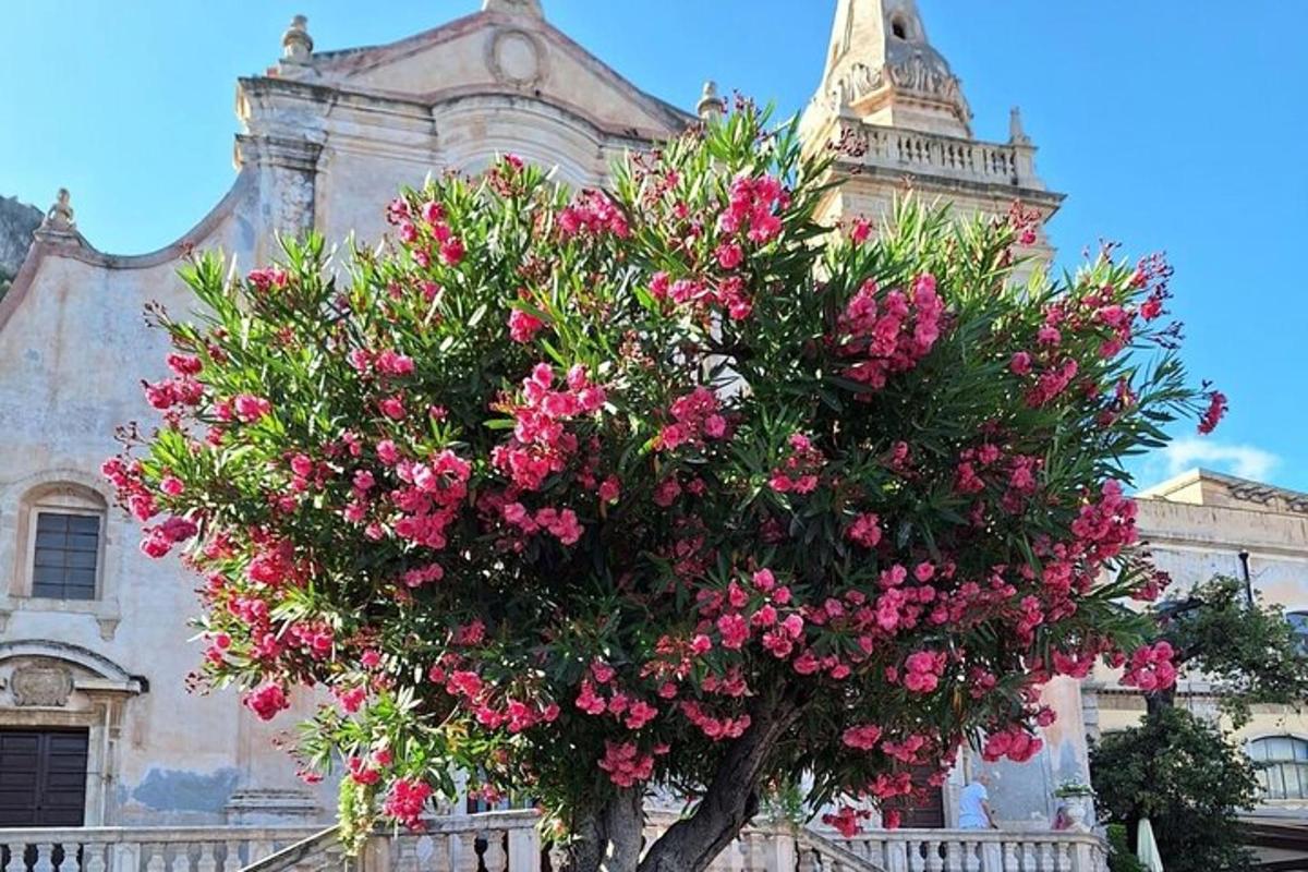 uma árvore com flores rosas em frente a um prédio