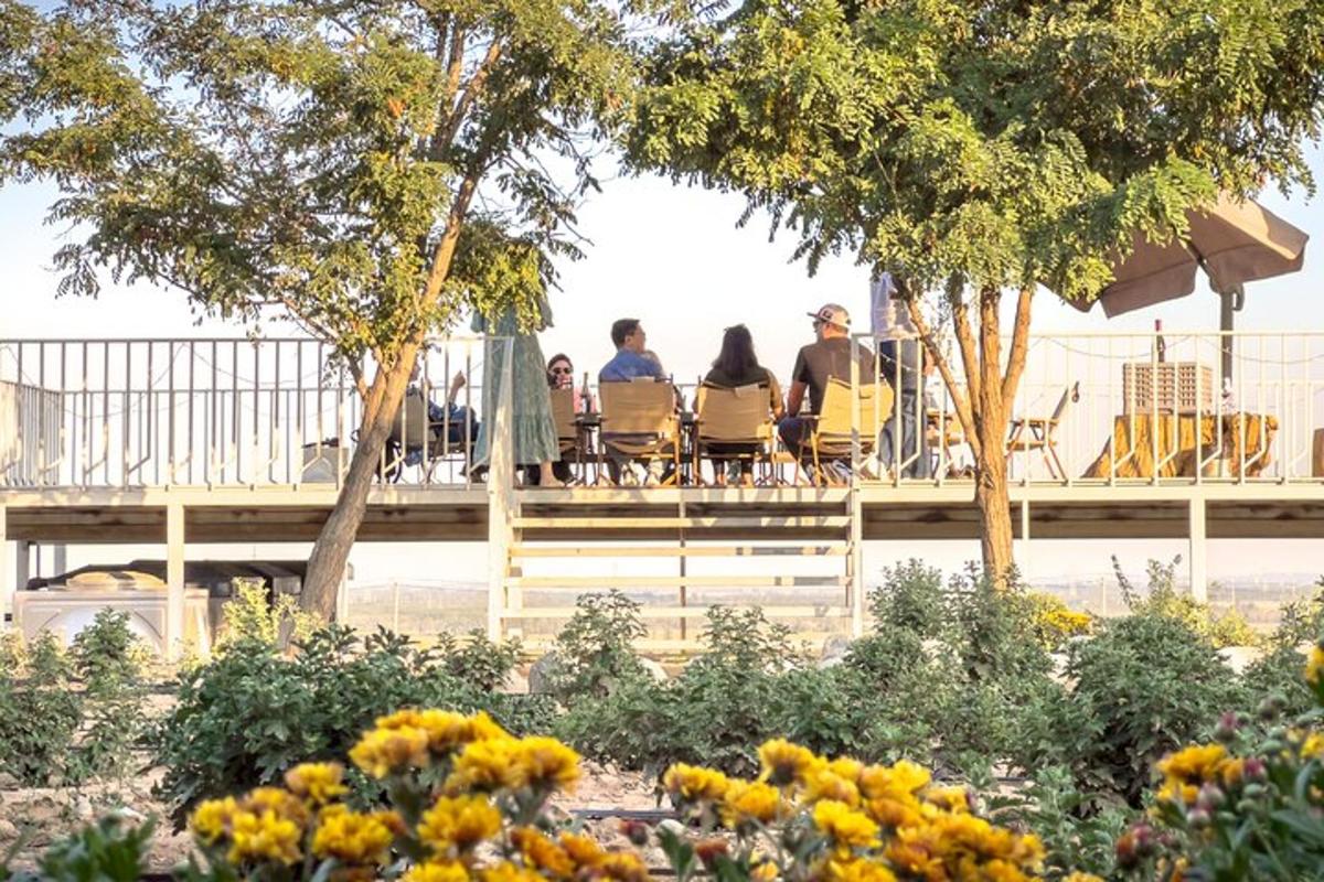 a group of people sitting in chairs on a deck