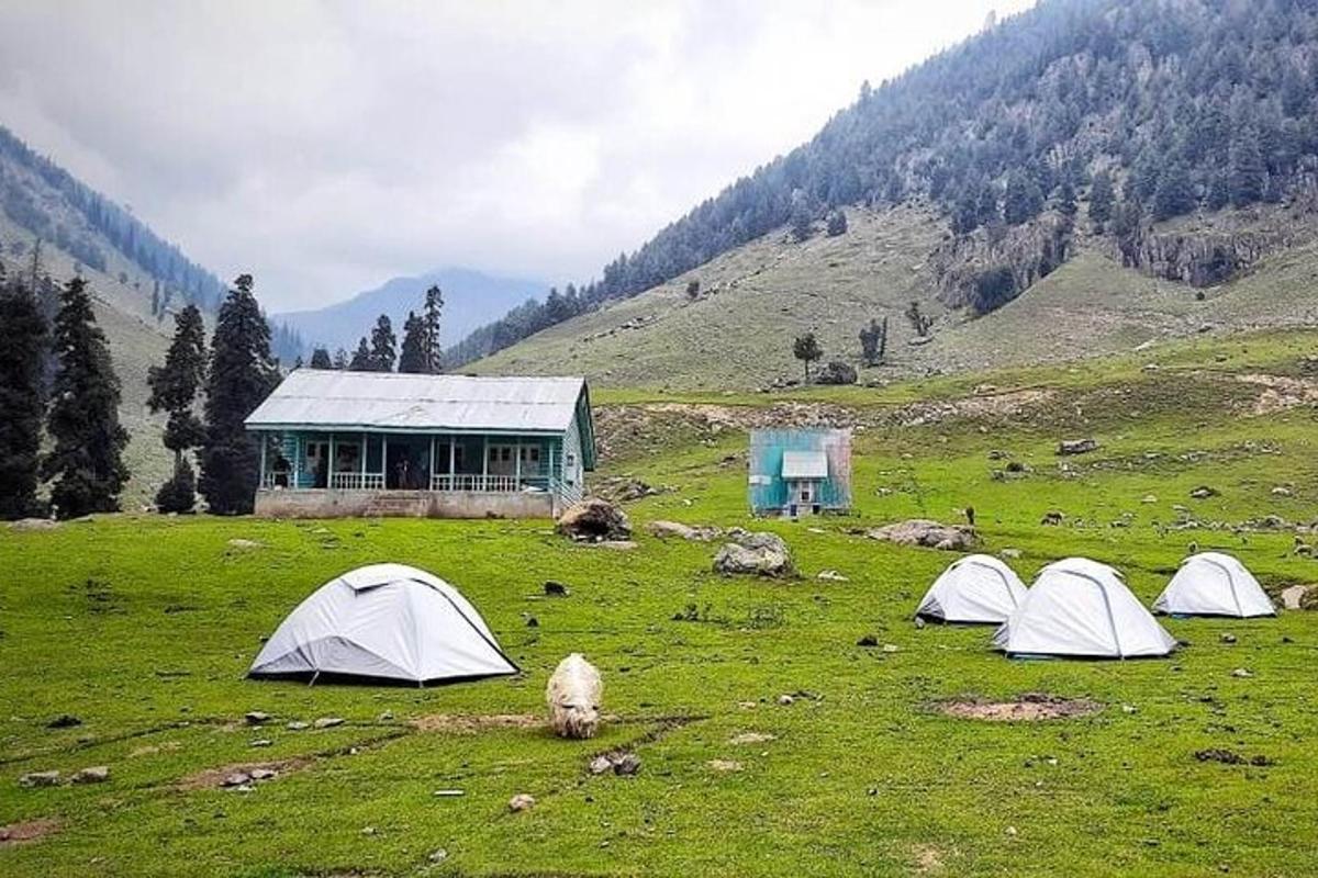 a group of tents in a field with a building