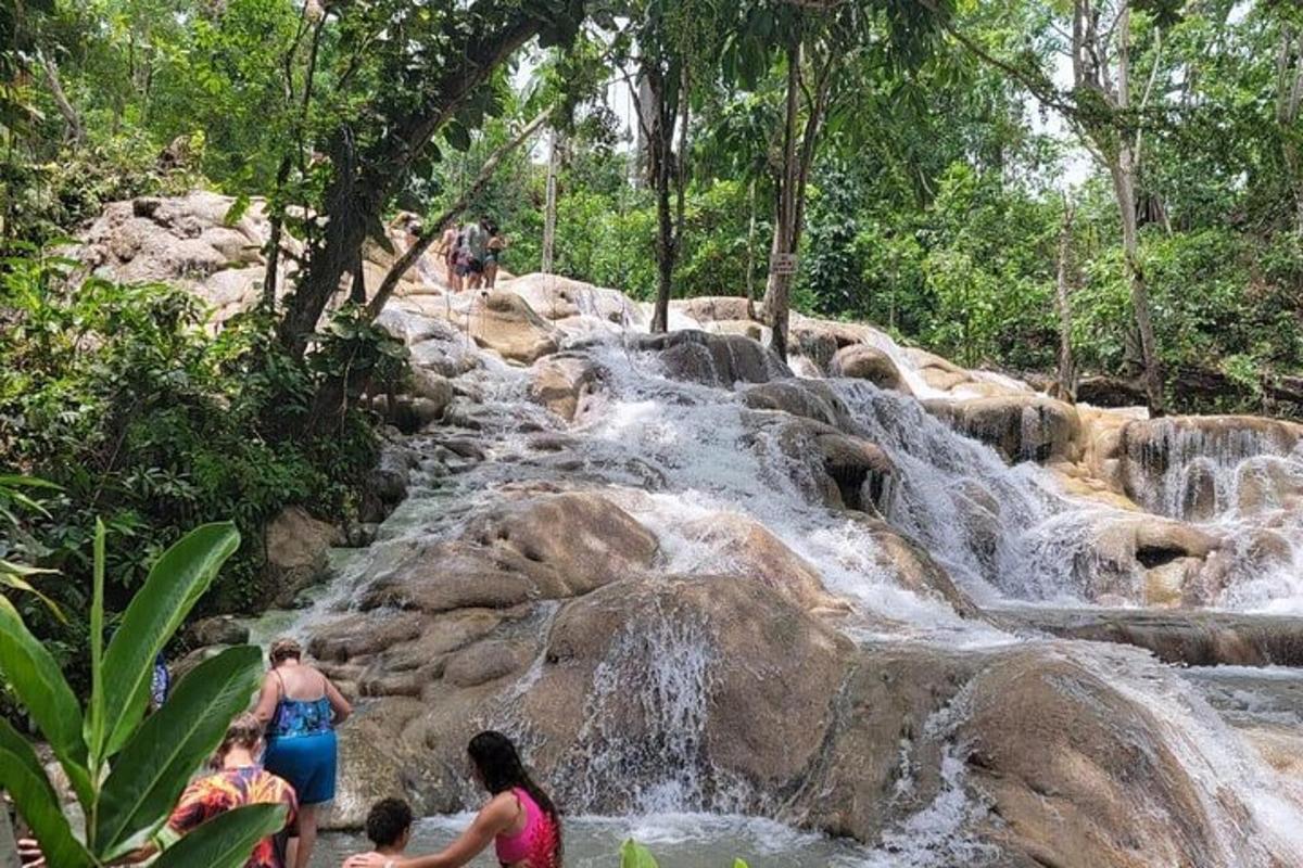 Un grupo de personas de pie frente a una cascada.