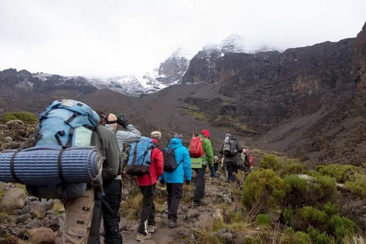 a group of people walking on a mountain trail