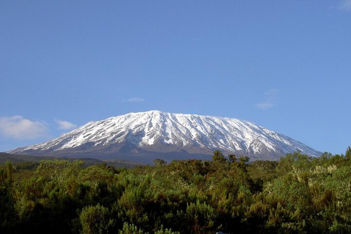 a snow covered mountain in the distance with trees