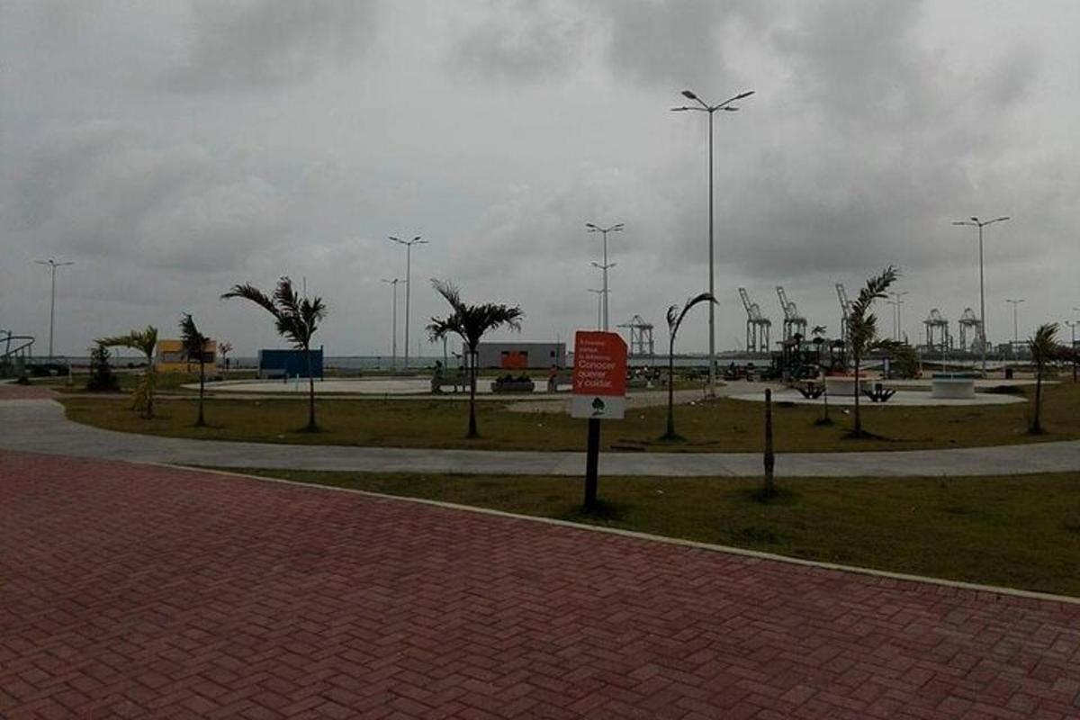 un parco con palme e lampioni su una strada