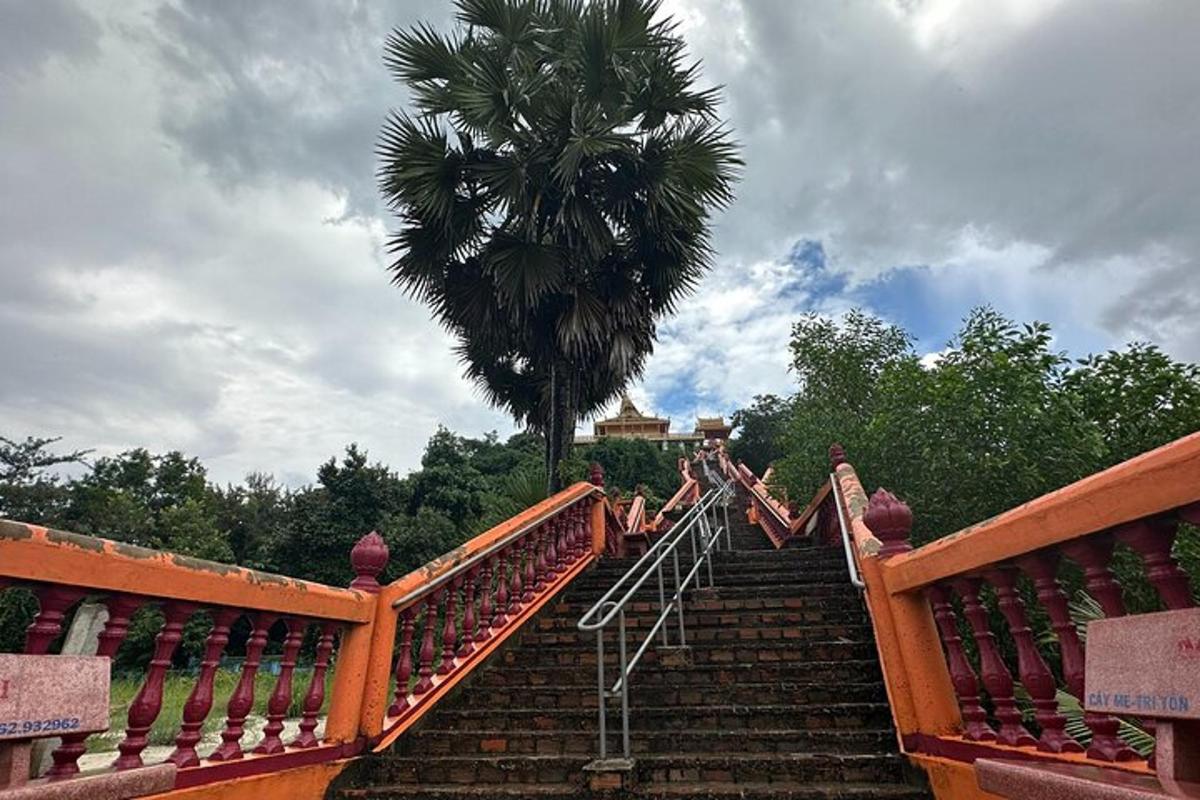 eine Treppe mit einer Palme im Hintergrund